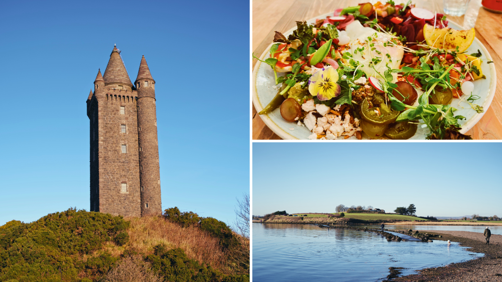 Scrabo tower, Island Hill Causeway and Haptik Coffee Shop