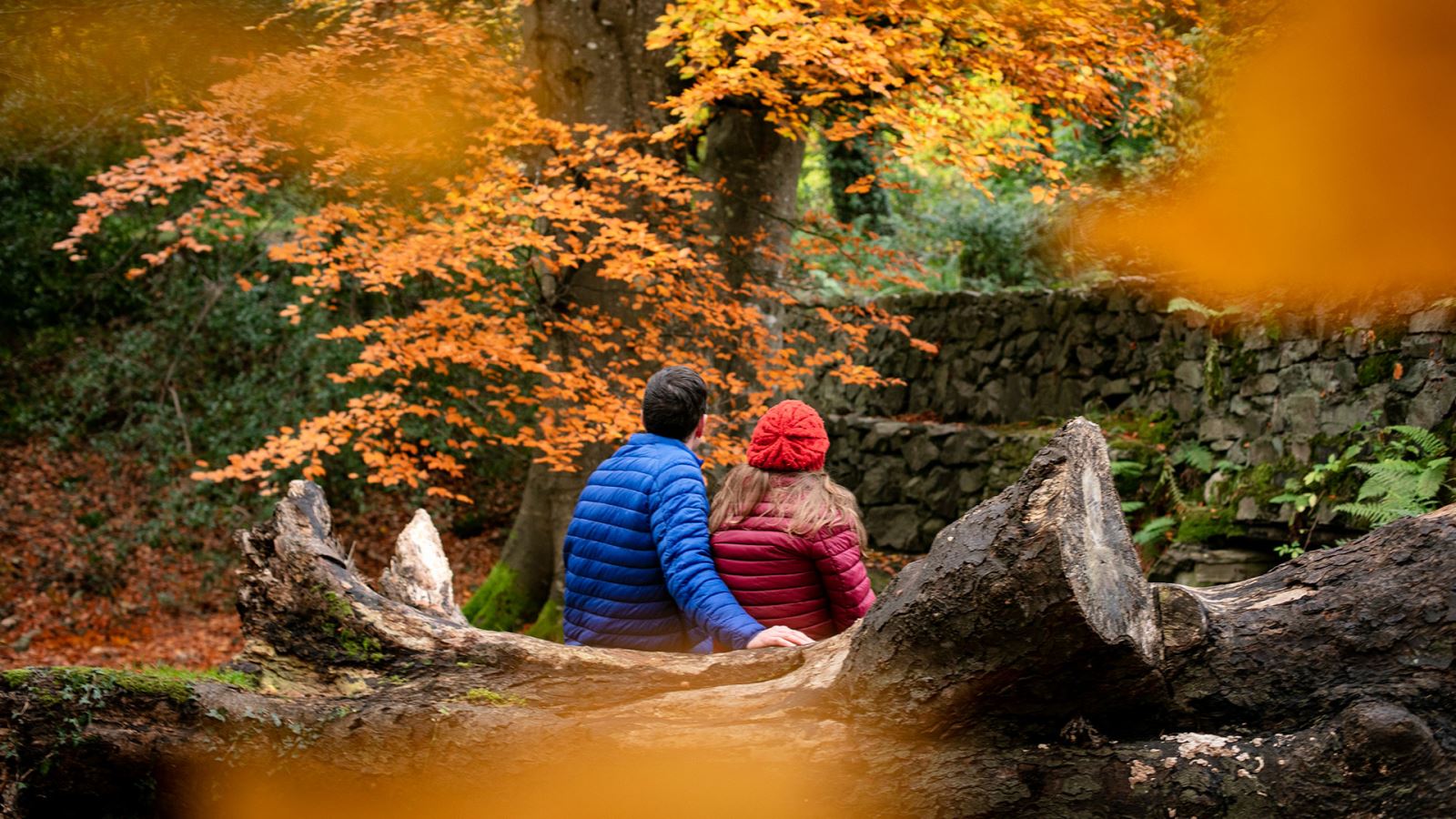Couple at Kilbroney Forest Park