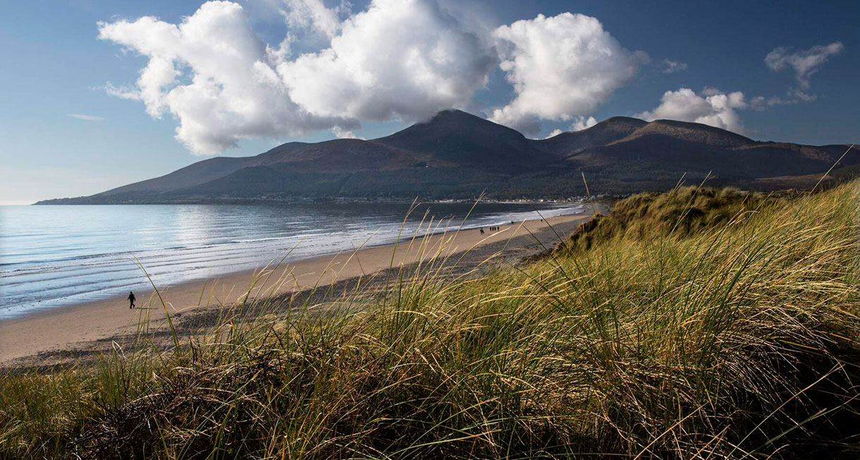 Murlough Nature Reserve, County Down