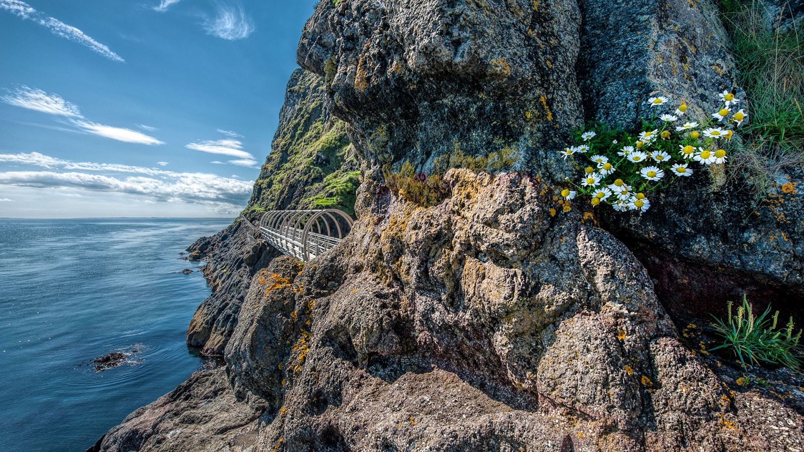 The Gobbins