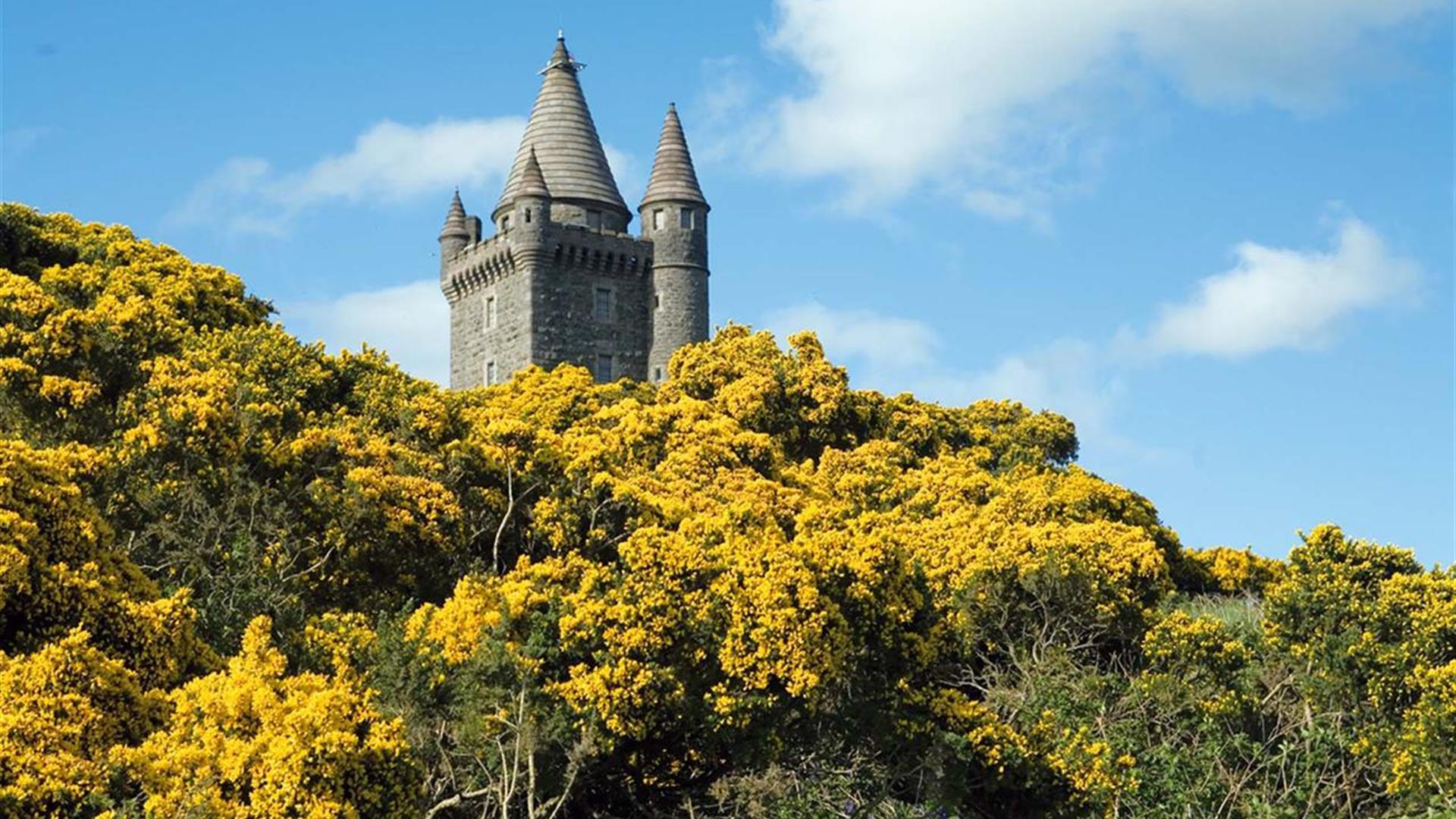 Scrabo Tower - Historic Sites, Houses, Castles & Buildings in ...